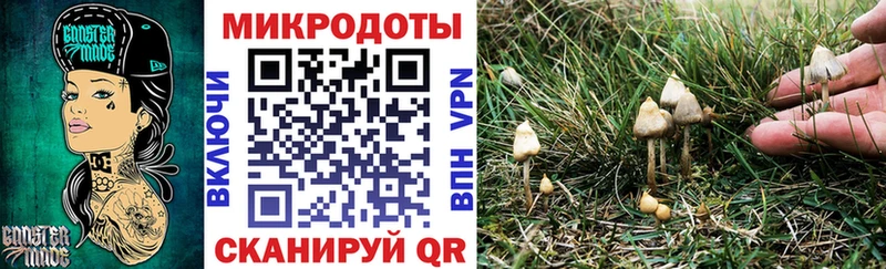 Псилоцибиновые грибы MAGIC MUSHROOMS shop как зайти Новая Ляля